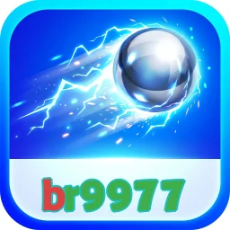 br9977